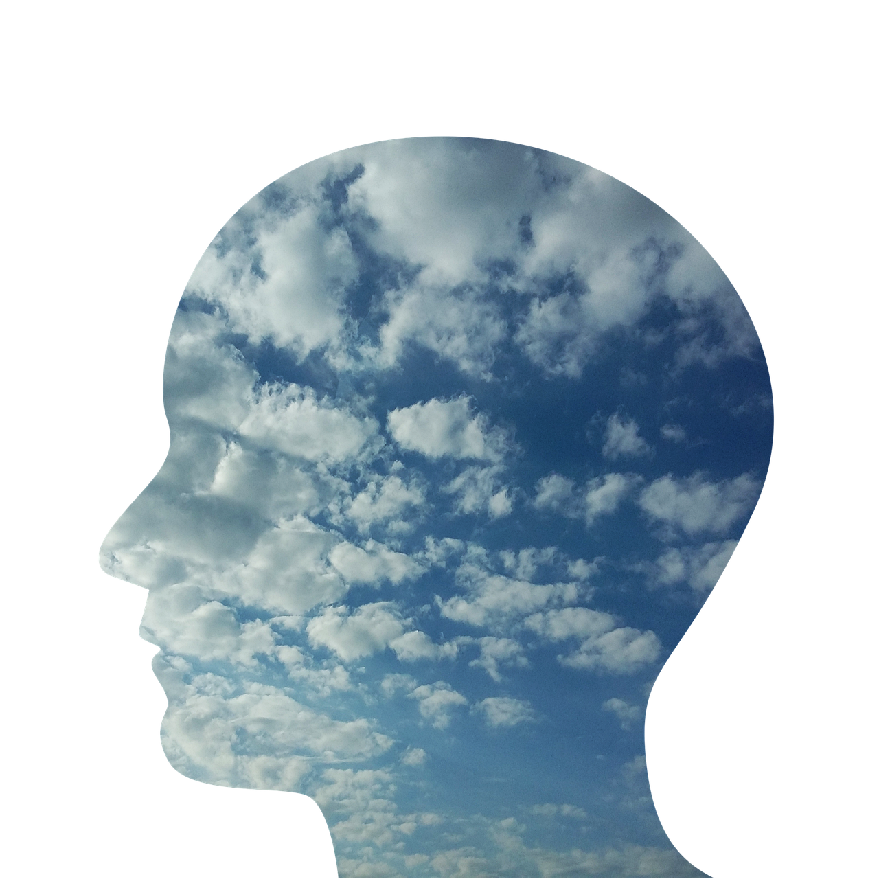 head, man, person, people, face, profile, loneliness, happiness, thoughts, sky, nature, clouds, anxiety, confusion, mental confusion, psychology, to think, emotion, thought, mind